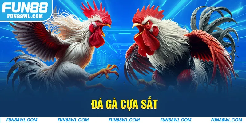 Đá Gà Cựa Sắt Tại FUN88: Kèo Cược Xanh Chín Cực Thú Vị